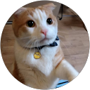 はっさく profile picture
